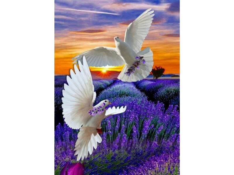 

Haft Diamentowy, Obraz, Mozaika Diamentowa Diamond