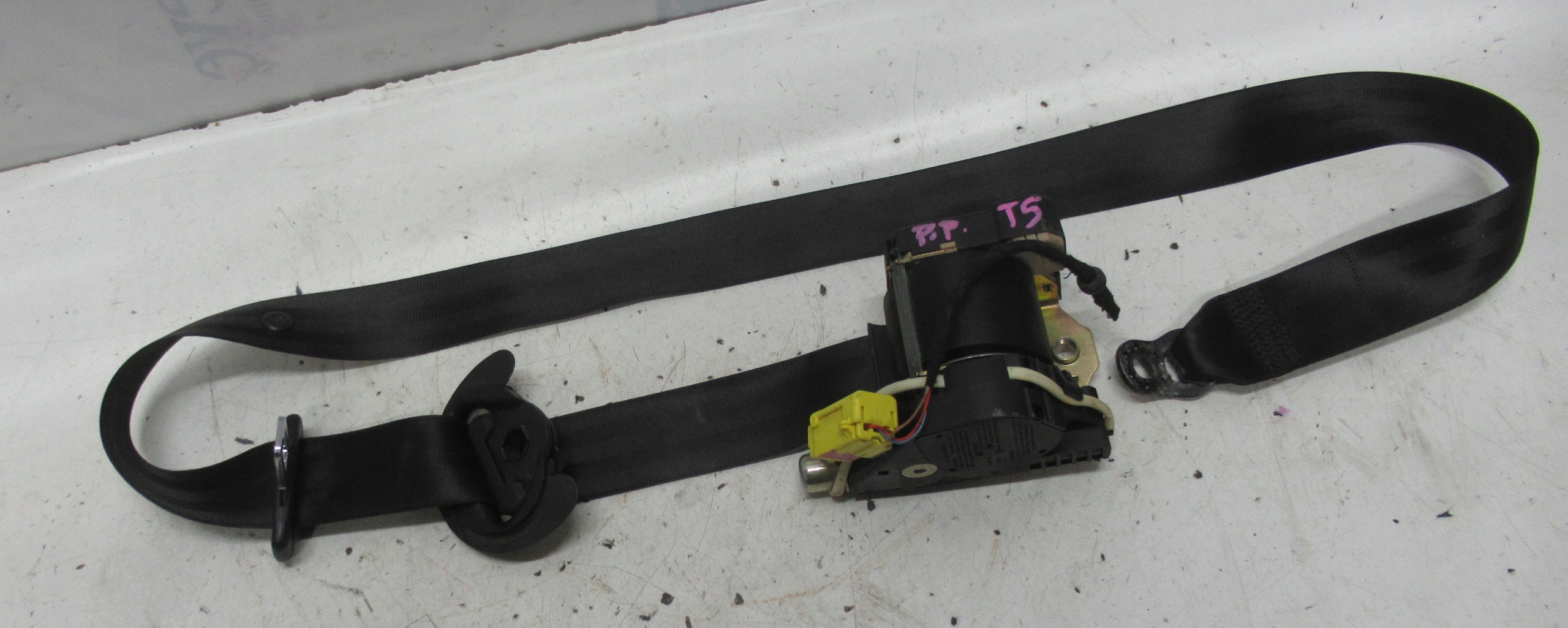 VW T5 tension belt right front 7H5857806B