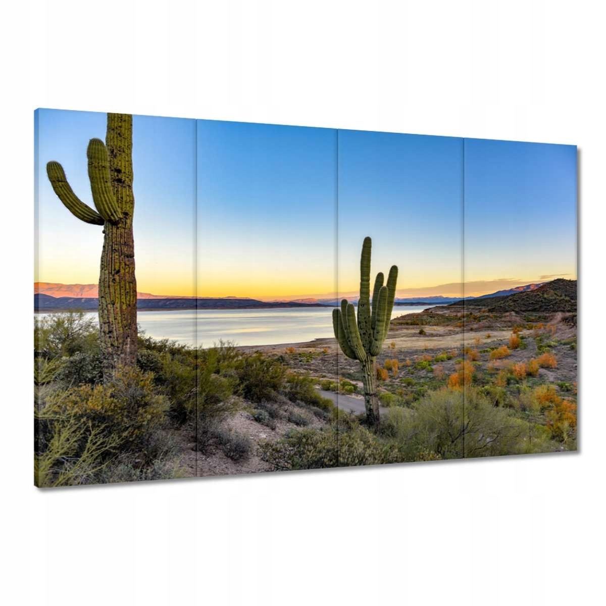 Obrazy 120x80 Kaktusy na poušti