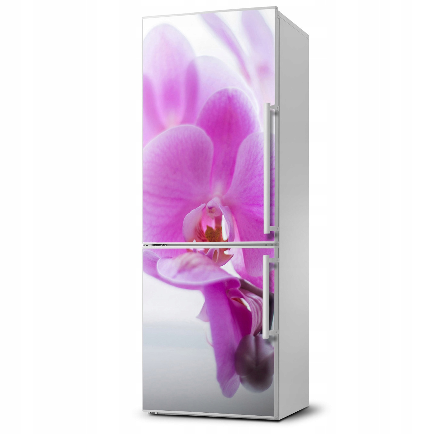 

Foto Magnes Tapeta na lodówkę Różowa orchidea XL
