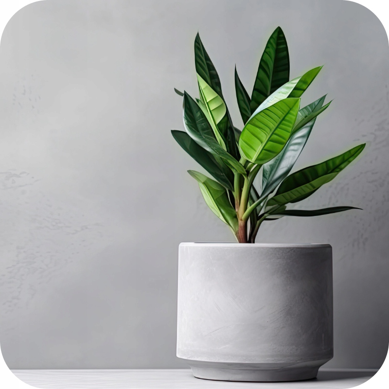 NAWÓZ W PŁYNIE 1l DO ROŚLIN ZIELONYCH FLOROVIT 1kg KONCENTRAT Okres stosowania cały rok