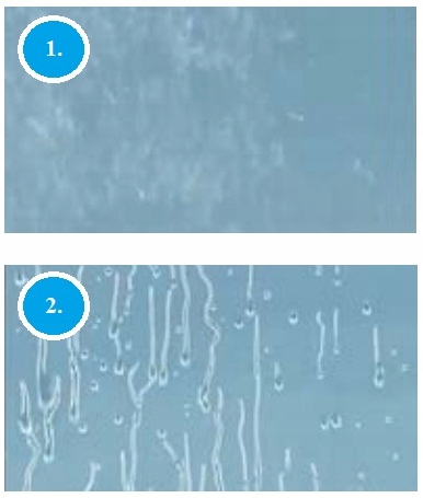 Drzwi przesuwne Premium Plus DWJ 120x190 RADAWAY EAN (GTIN) 5902738007311