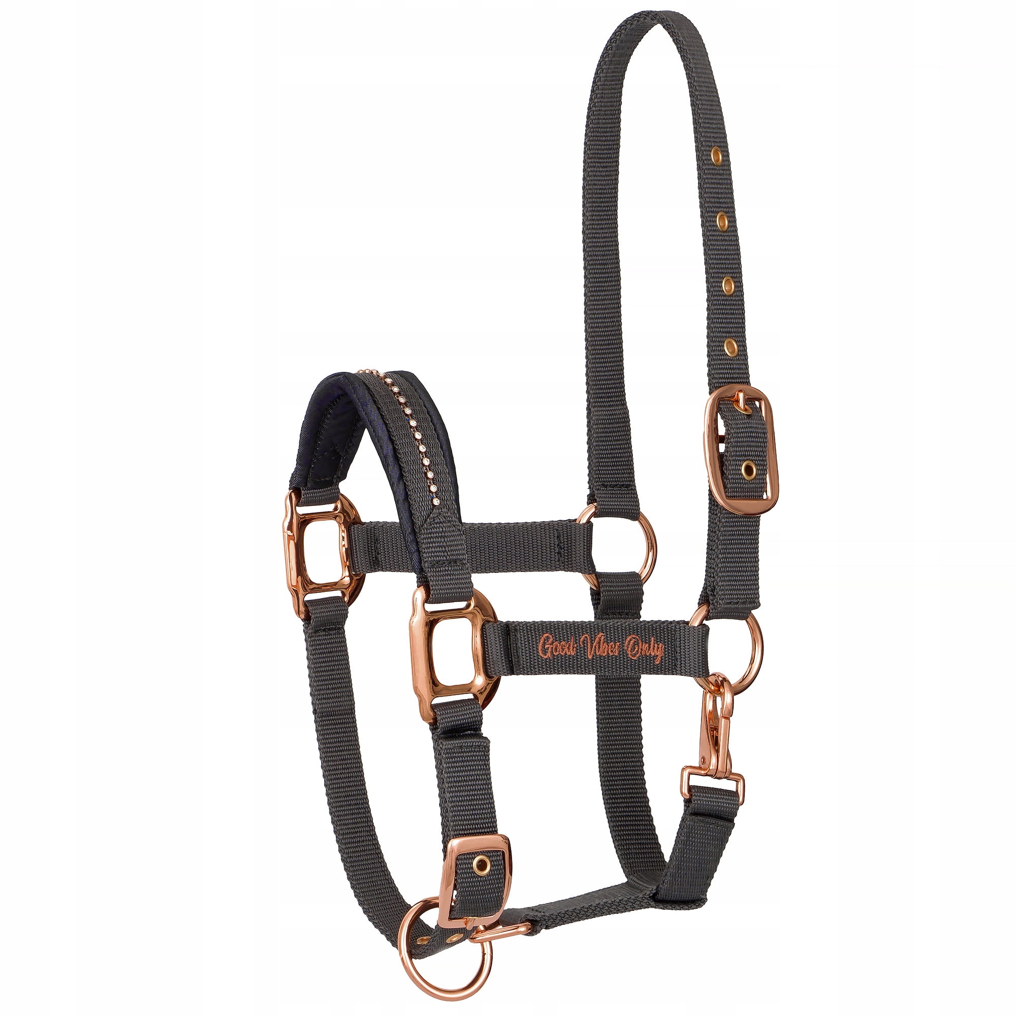 Uzda se zlatým kováním Equestrian Queen Amsterdam 23SS