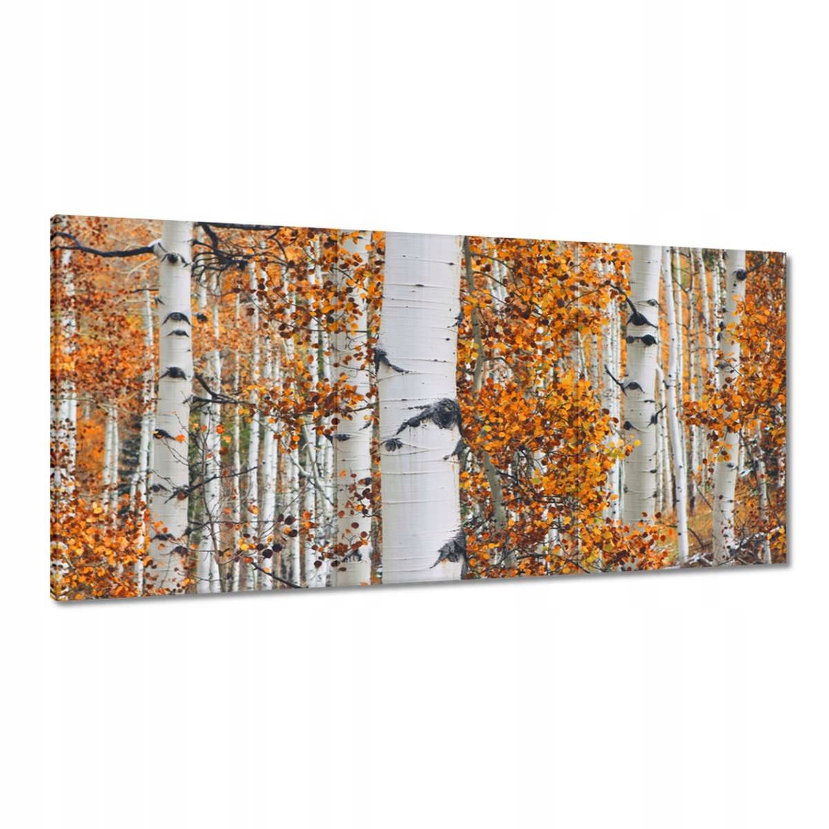 Obrazy 180x90 Jesenná krajina Breza