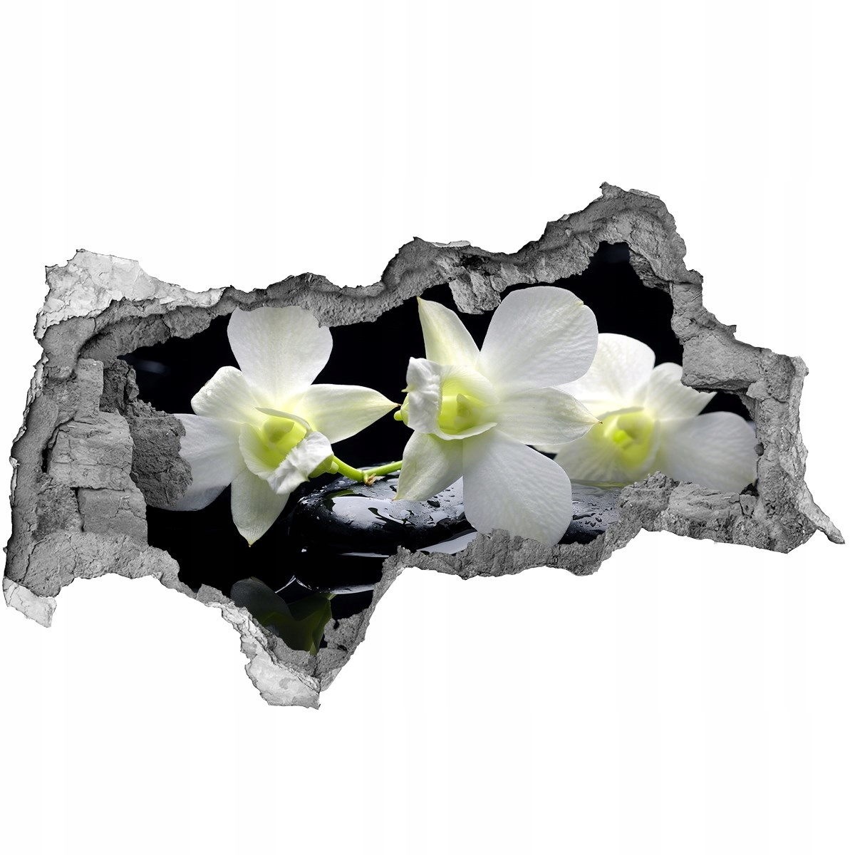 

Samoprzylepna Naklejka fototapeta Orchidea 115x88