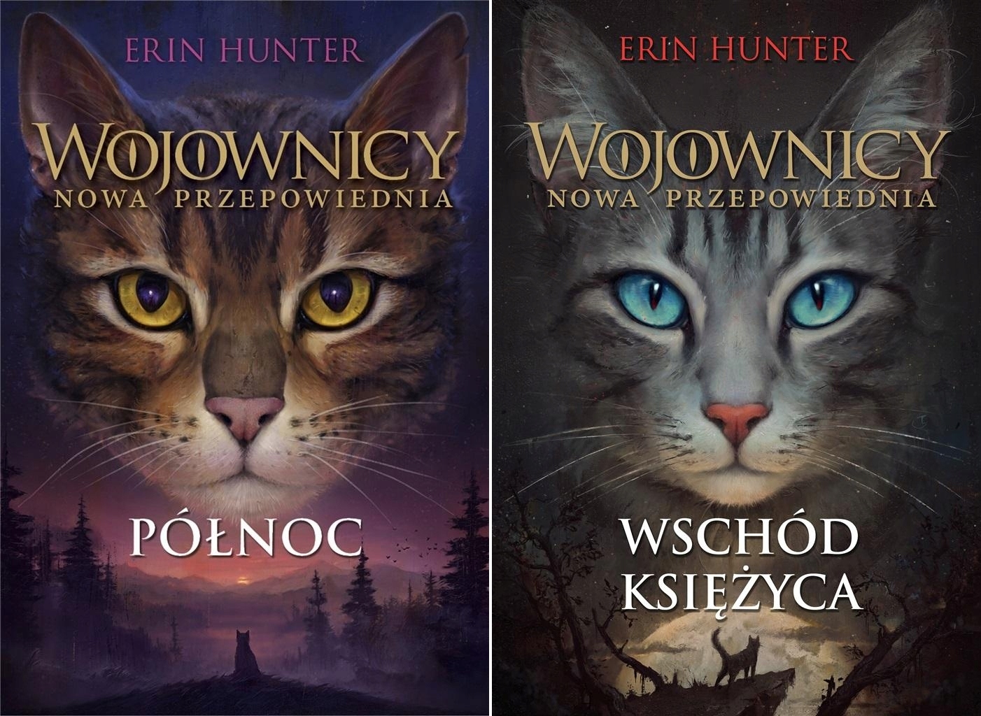

Wojownicy Nowa przepowiednia Północ Erin Hunter