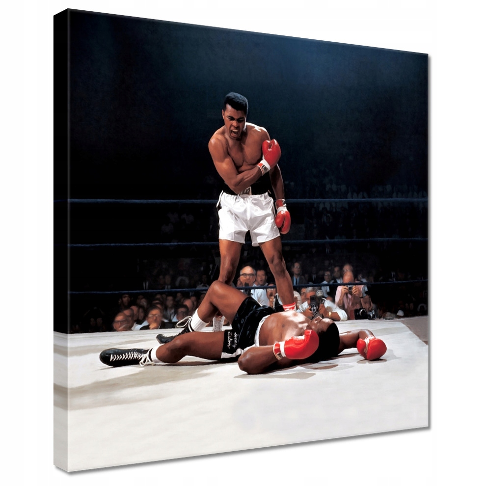 

Obrazy 20x20 Muhhamad Ali Bokser Walka