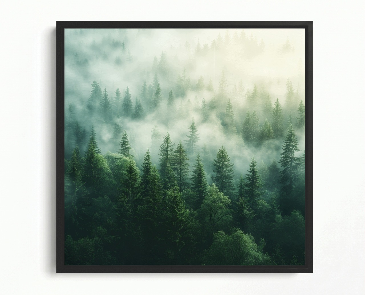Obraz Rám Americká Krajina Hory Stromy Les Mlha Slunce 50x50