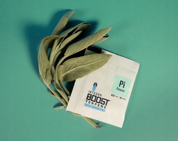 

Integra Boost Pinene 4G 62% regulator wilgoci