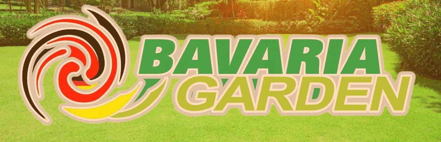 PIŁA SPALINOWA GAŁĘZIÓWKA DO GAŁĘZI PILARKA ŁAŃCUCHOWA + ZESTAW XXL OLEJ Podziałka łańcucha ('') 3/8''