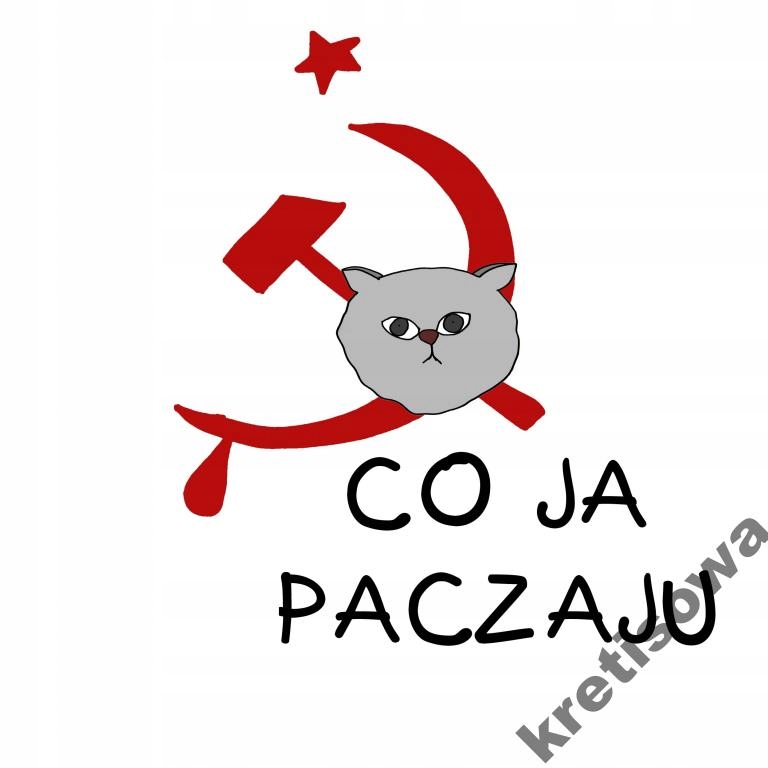 

Męska koszulka Co Ja Pacze Paczyzm Hit Kot c1
