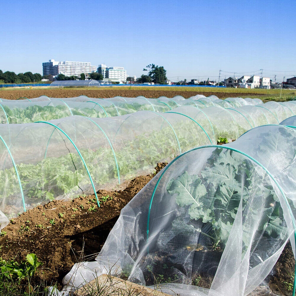 SIATKA CHRONIĄCA PRZED OWADAMI, SIATKA NA WARZYWA, SIATKA NA ROŚLINY, OWOCE Rodzaj pułapka