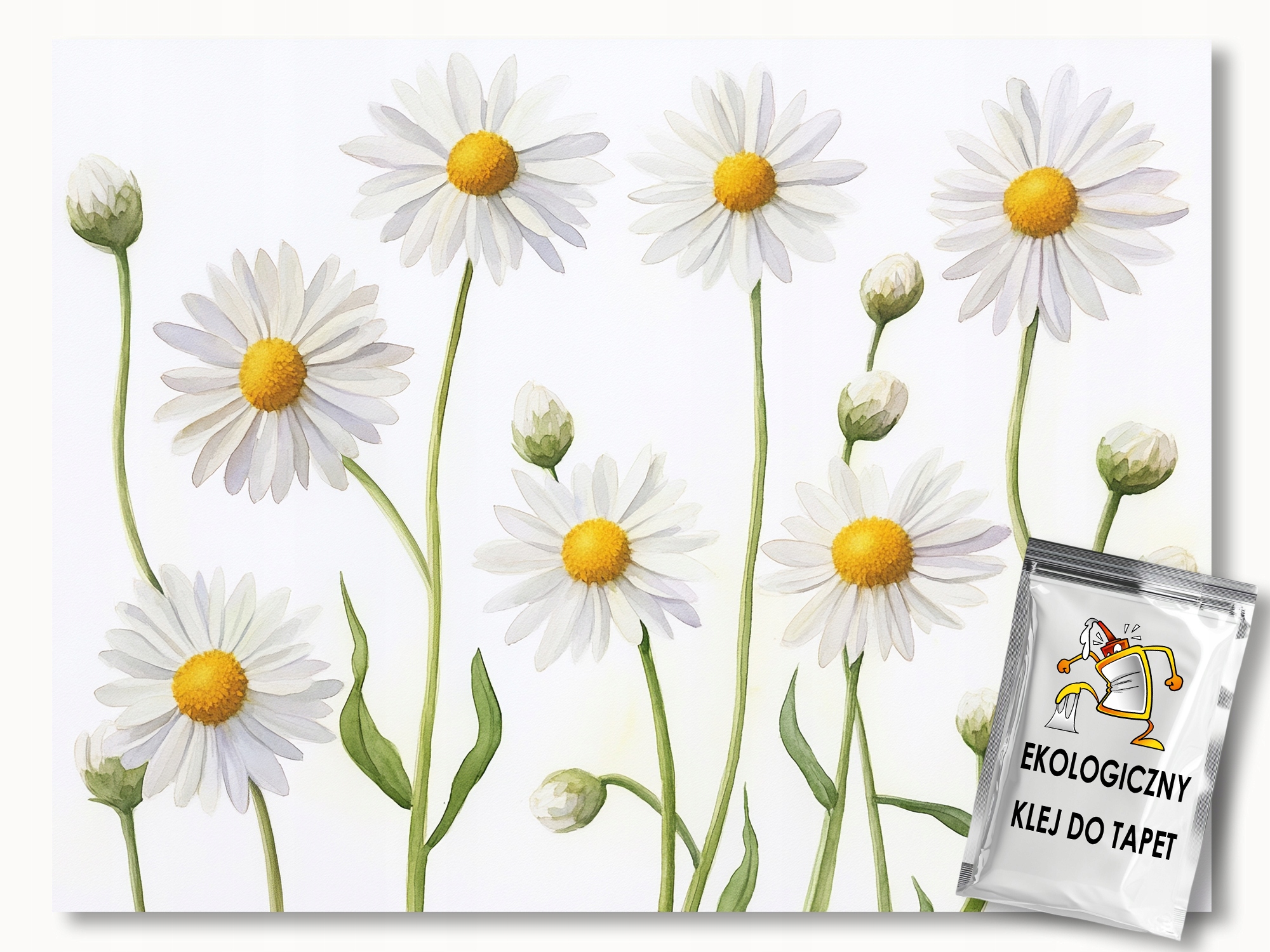 Fototapeta Flizelina Příroda Louka Zahrada Květiny Sedmikrásky 250x175 110g
