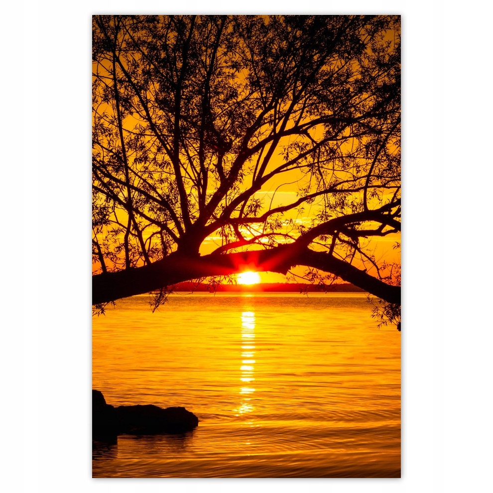 

Plakaty 62x93 Plaża Drzewo Morze