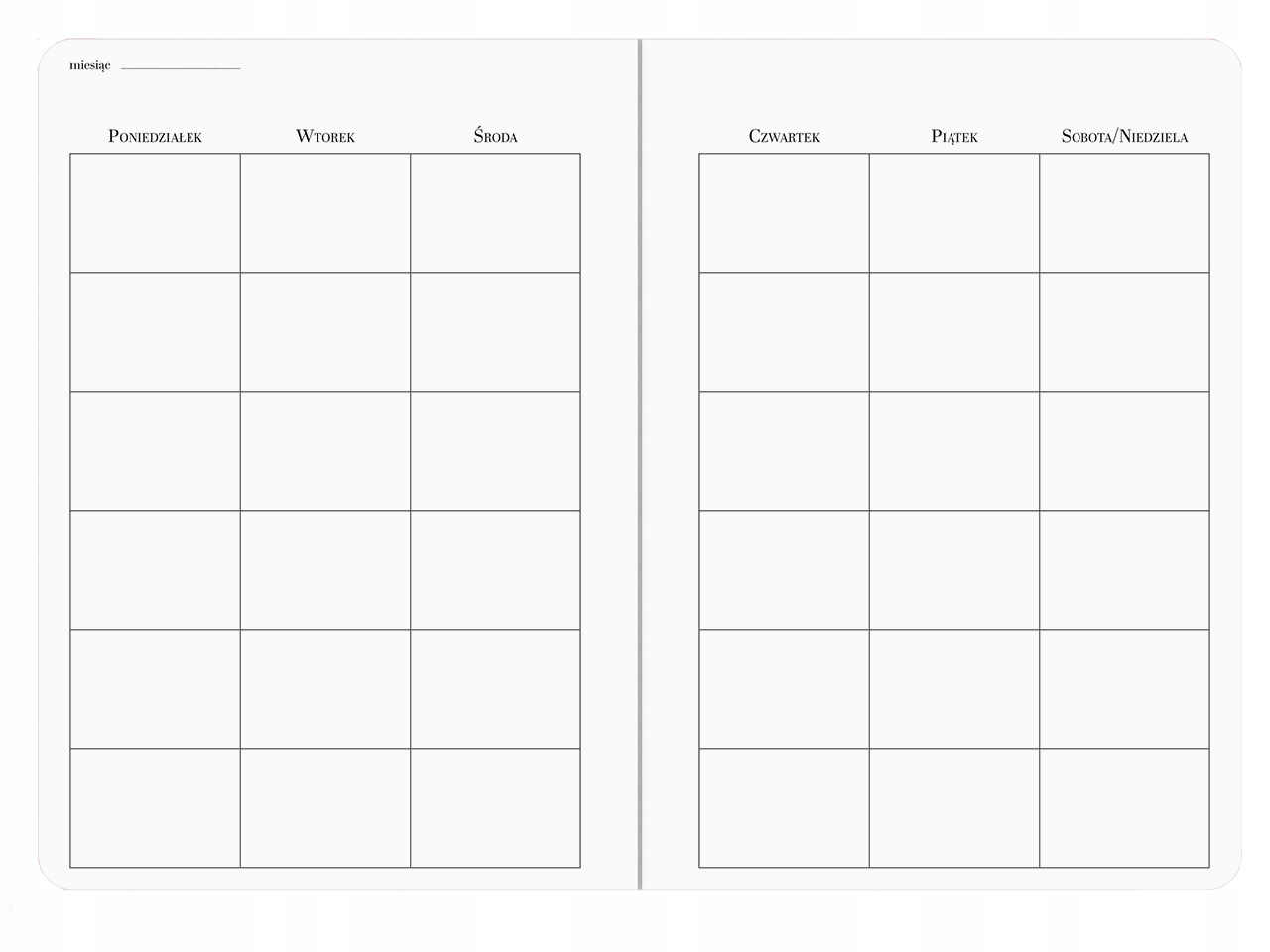 ORGANIZER Journal PLANER Notes A5 240 BUJO HEARTS Producent Interdruk
