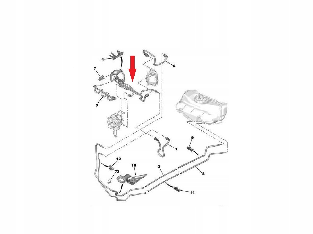 GRUSZKA PRZEWODY PALIWOWE FIESTA V FUSION 1 4 TDCI Part manufacturer GT Bergmann