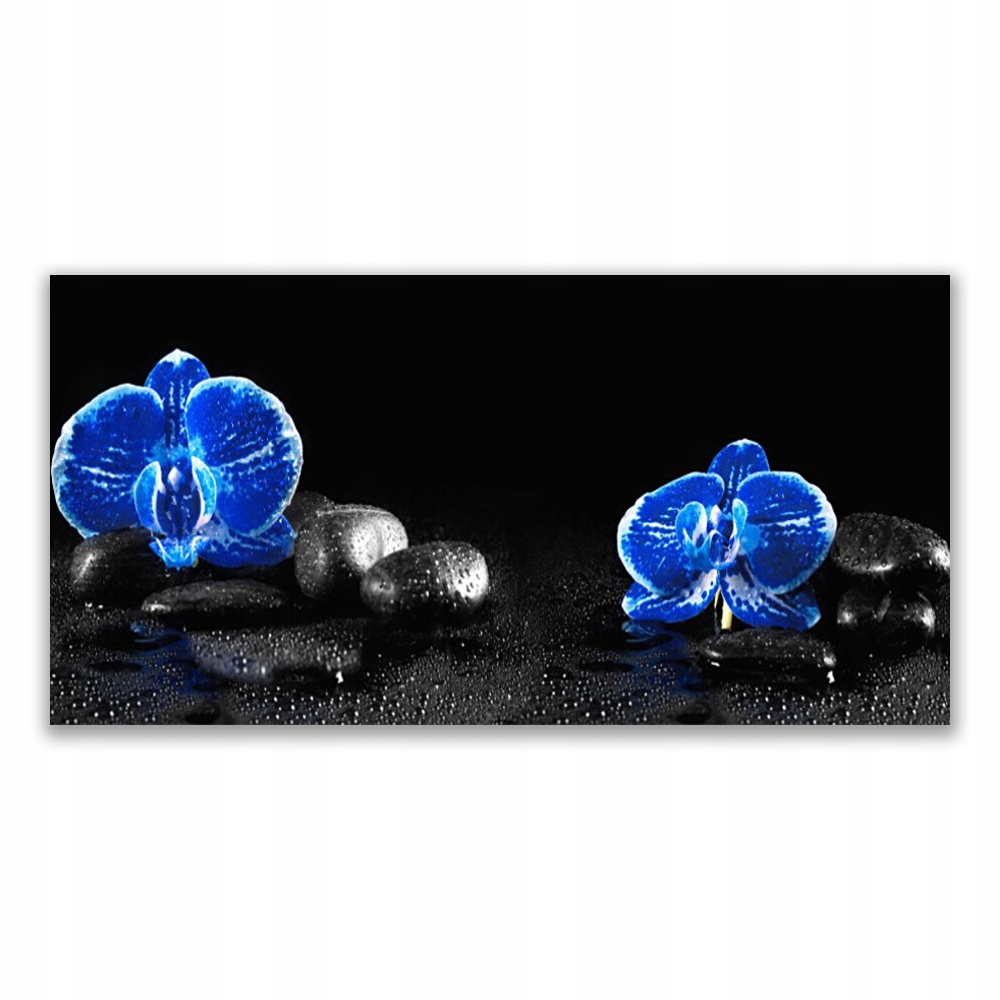 

Fotoobraz z grafiką 140x70 Kwiat Kamienie Roślina