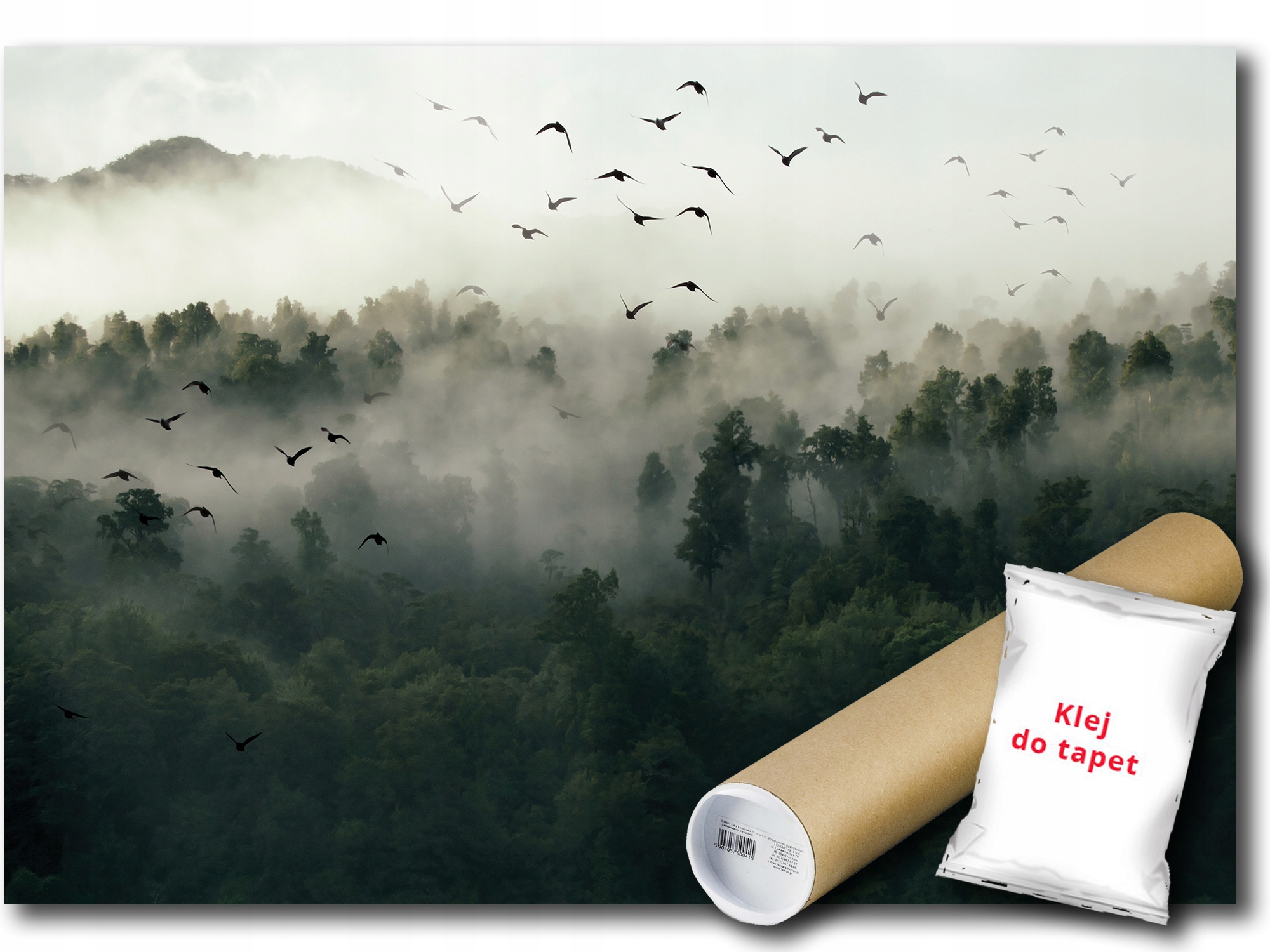 Fototapeta Flizelina Les Mlha Ptáci Hory 416x254