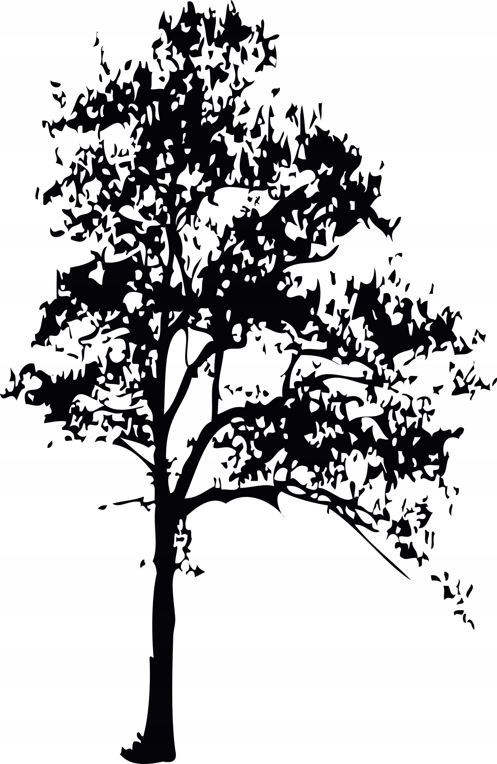 Naklejka na ścianę Drzewo w parku 200 cm x 130 cm