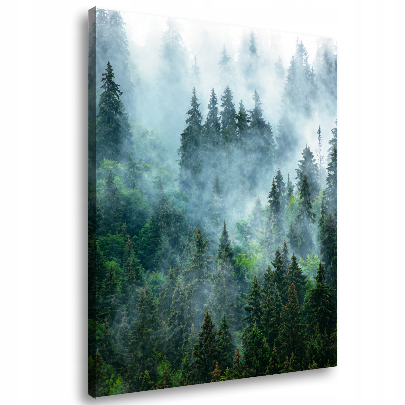 

Obraz na płótnie Drzewa Las Mgła 95A-80x120cm