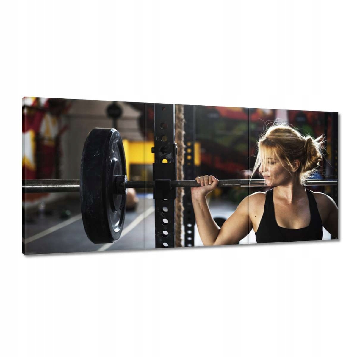 Obrazy 210x100 Posilňovňa Cvičenie Sila