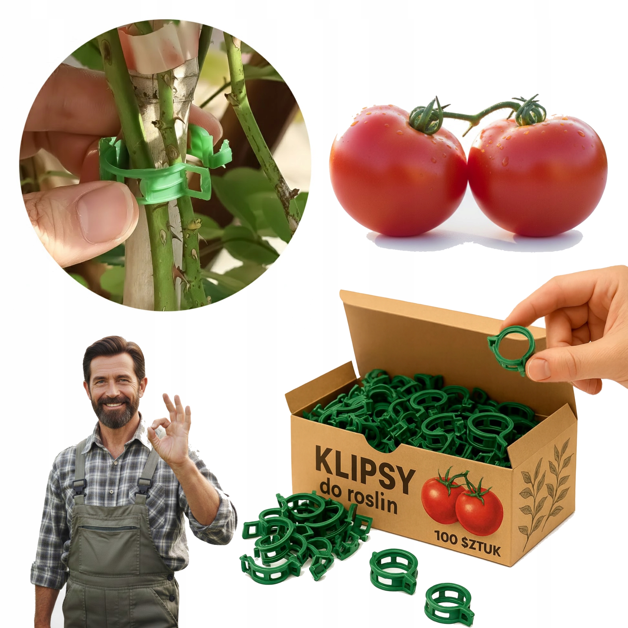 KLIPSY DO POMIDORÓW ROŚLIN ZAPINKI SPINACZ UCHWYT DO ŁODYG PĘDÓW 100 SZTUK