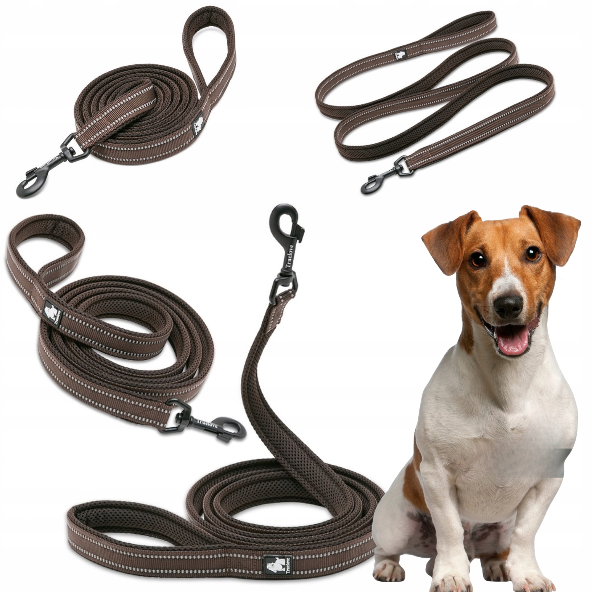 Levně Vodítko Pro Psa Reflexní Silná Truelove Active Hnědá 200 CM Velikost S