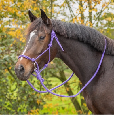 Halter z wodzami Qhp Kantar sznurkowy do jazdy, fioletowy, r. Pony