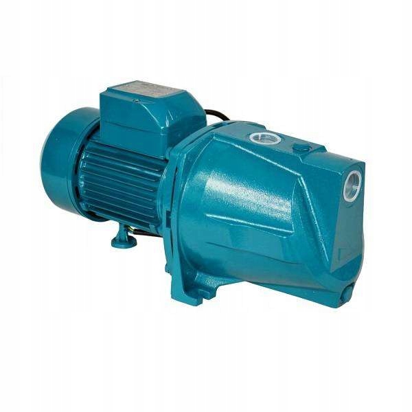 

Pompa hydroforowa Jsw 150 powierzchniowa Ibo 230V