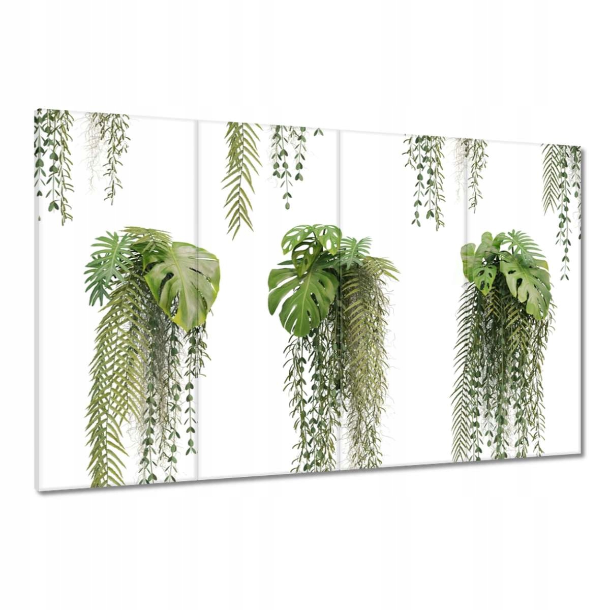 Obrazy 120x80 Monstera děravé listy