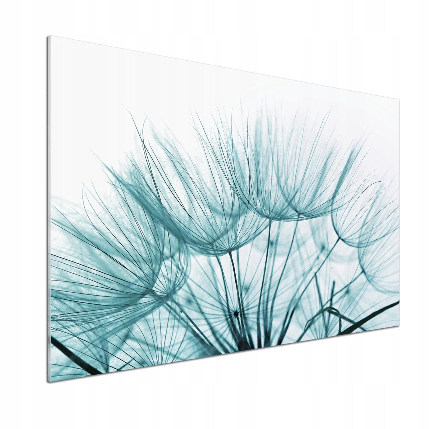 Kuchyňský panel Semena dmychadla 100x70 cm Lepidlo