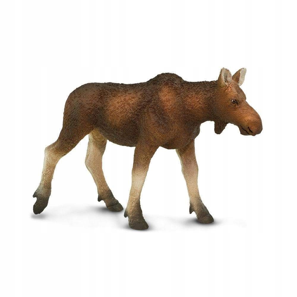 

Łoś Klępa Cow Moose Safari Ltd. 180829