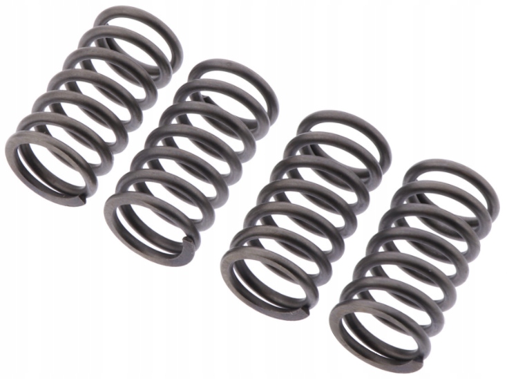 Spojkové pružiny Honda Crf 150 R 07-21 Nové
