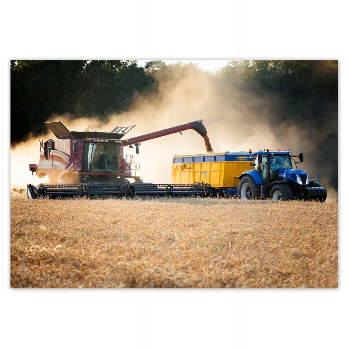 Fototapety 416x290 Žatva Kombajn Traktor