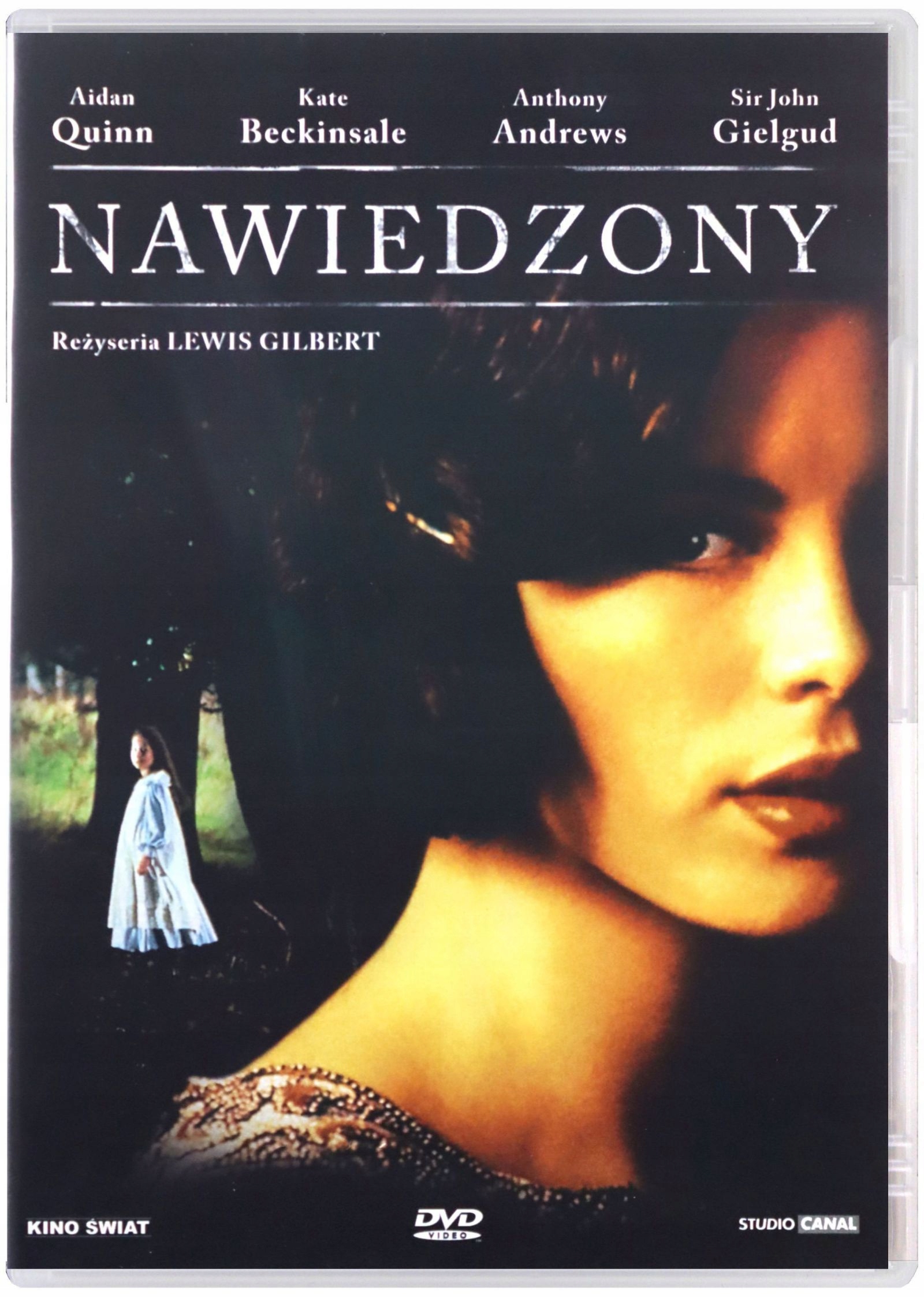 Nawiedzony [DVD]