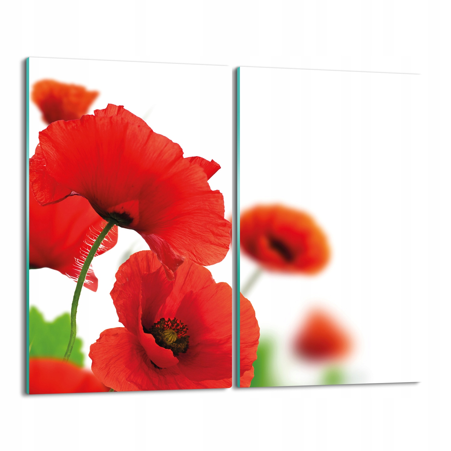 

ochrona na indukcję Maki płatki kwiaty 2x 30x52