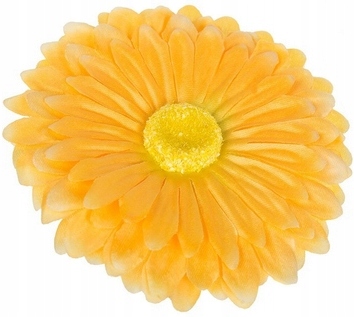 

Główka Gerbera średnica 10 cm Żółta