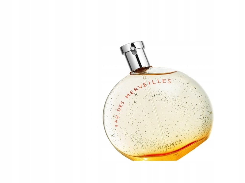 HERMES EAU DES MERVEILLES 100ML EDT jp