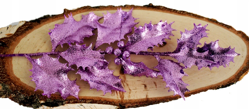 

Ostrokrzew Gałązka Brokatowa Lila Róż