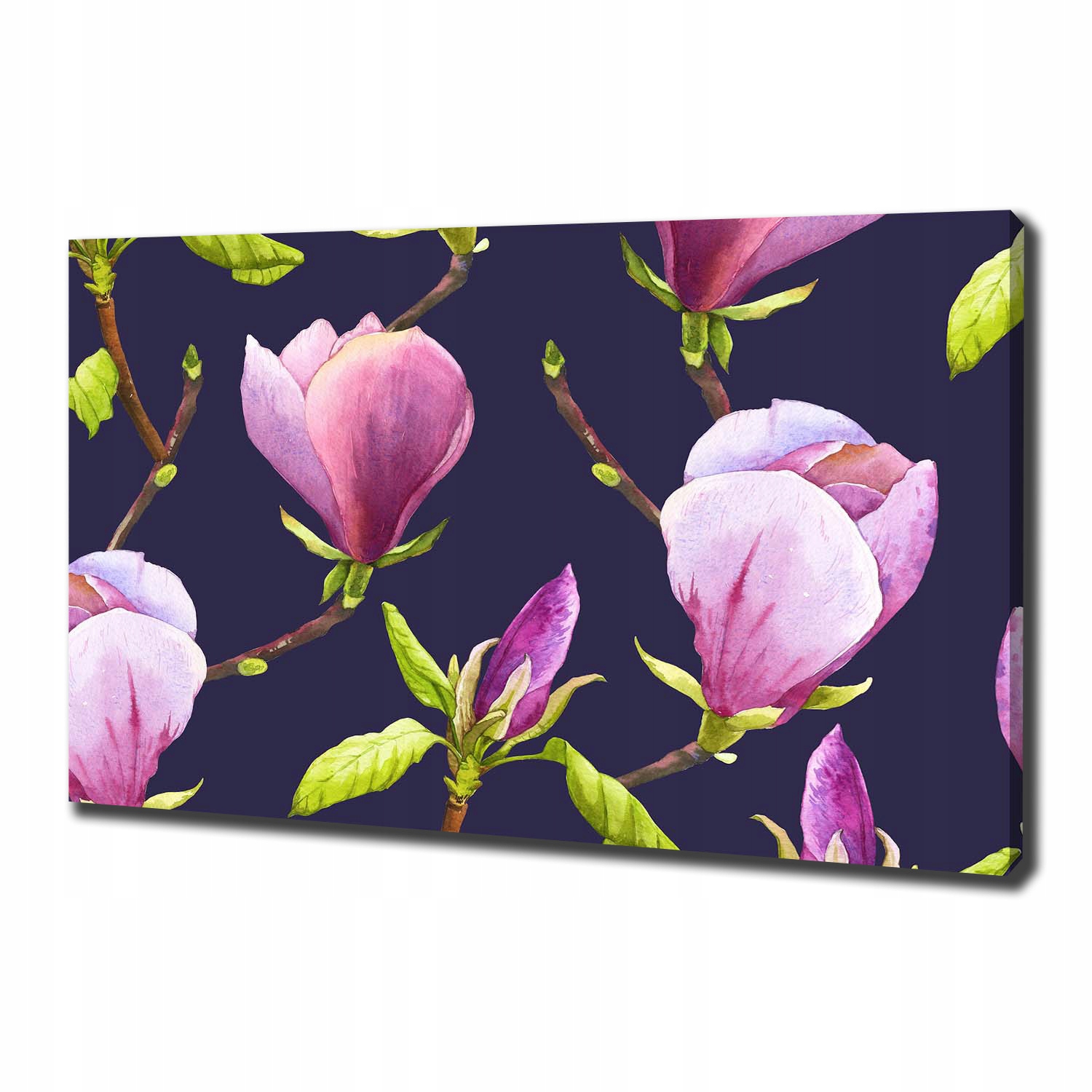 

Foto obraz canvas na ścianę Magnolia 100x70 cm