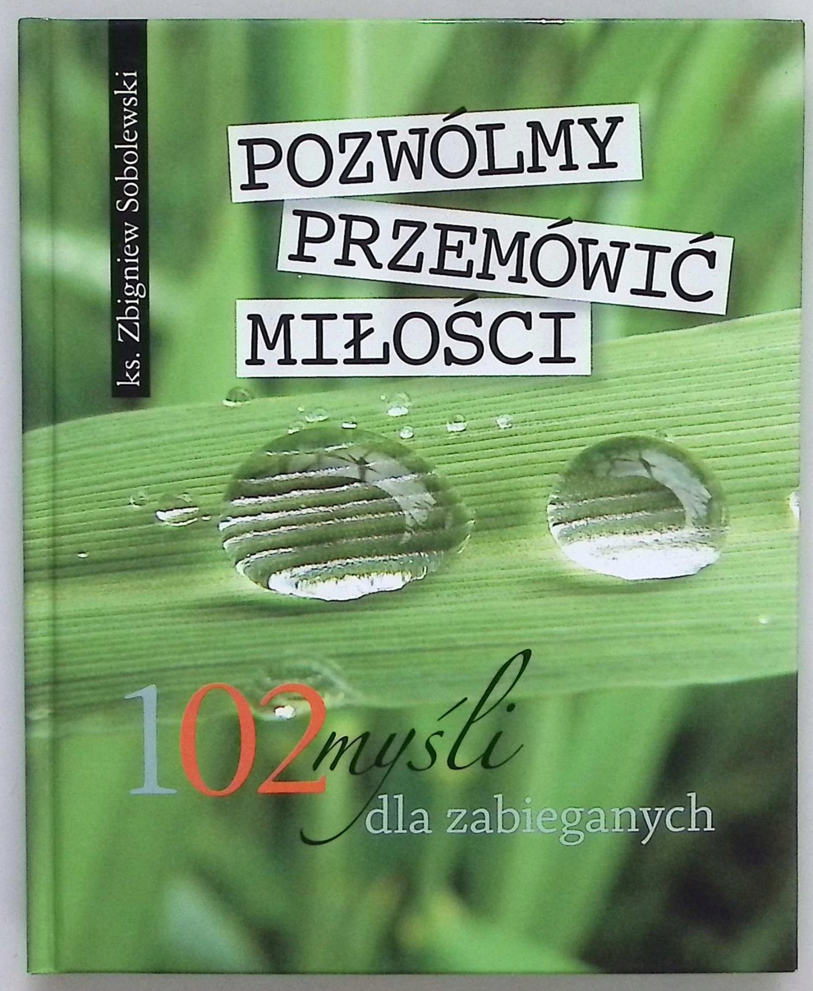 Pozwólmy przemówić miłości