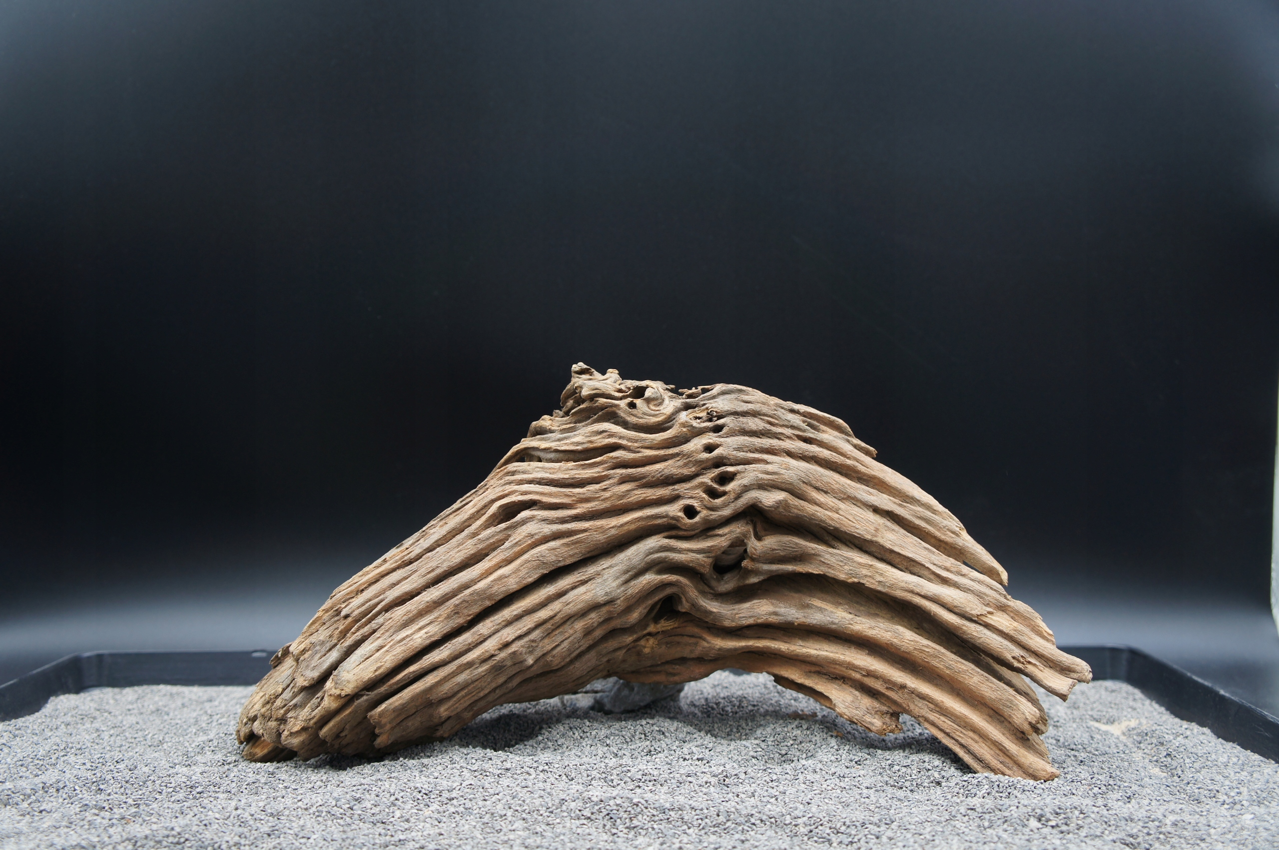 Levně Kořen do akvária terária jagged wood 35 cm Ten, Který Je Na Obrázku (J37)