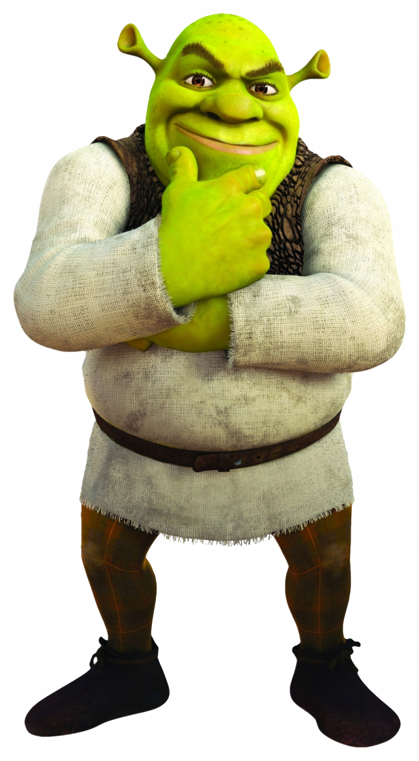 

Naklejka Na Okno Szybę Lustro Shrek Szrek Ogr