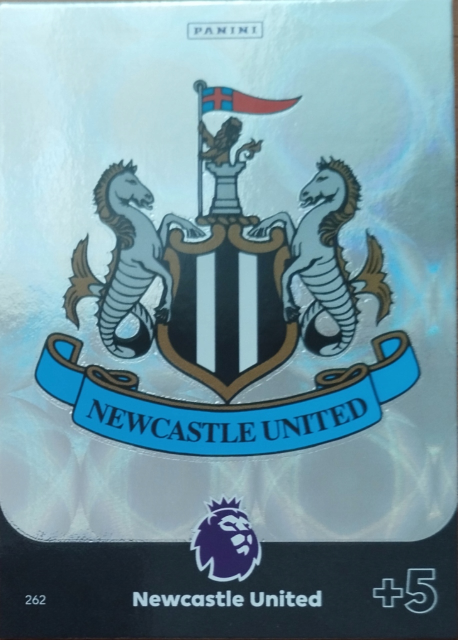 Premier League 2024 Logo 262 Newcastle United