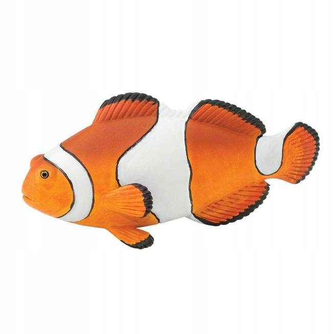 

Błazenek Clown Anemonefish Safari Ltd.-261829