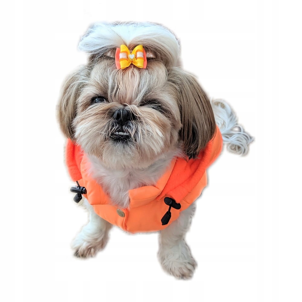 

Ręcznie szyta kurtka sport pomarańcz XXL Shih Tzu