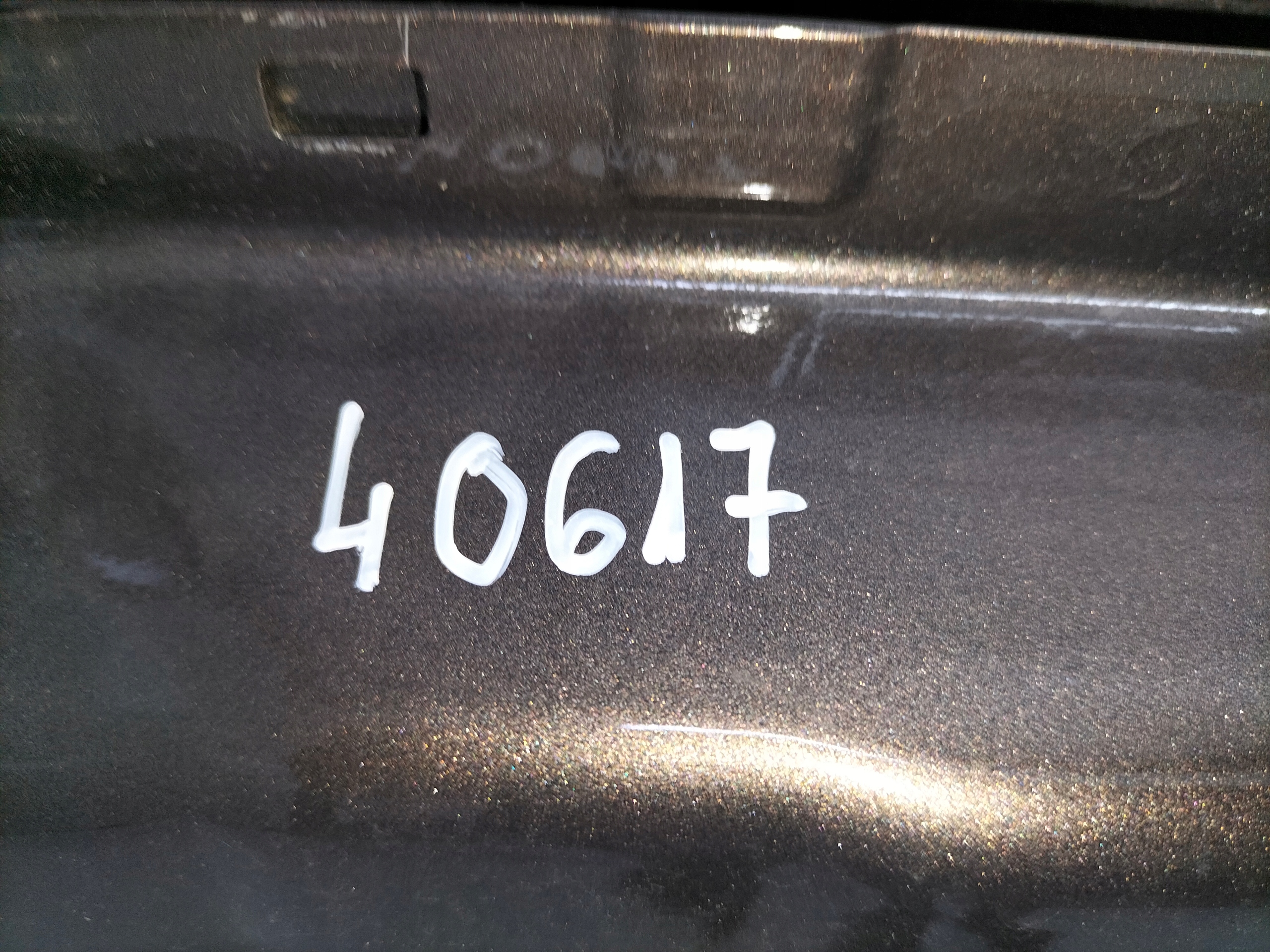 door front front left BMW X5 E70 06