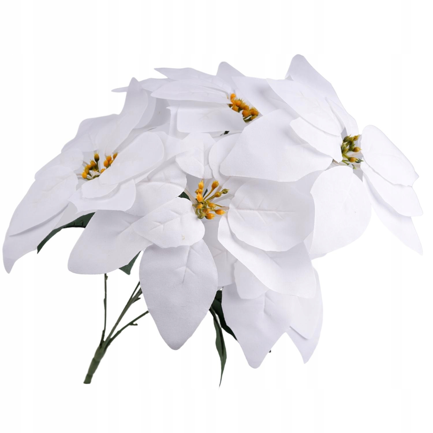 

Bukiet Poinsecja Świąteczne Kwiaty Biała Duża