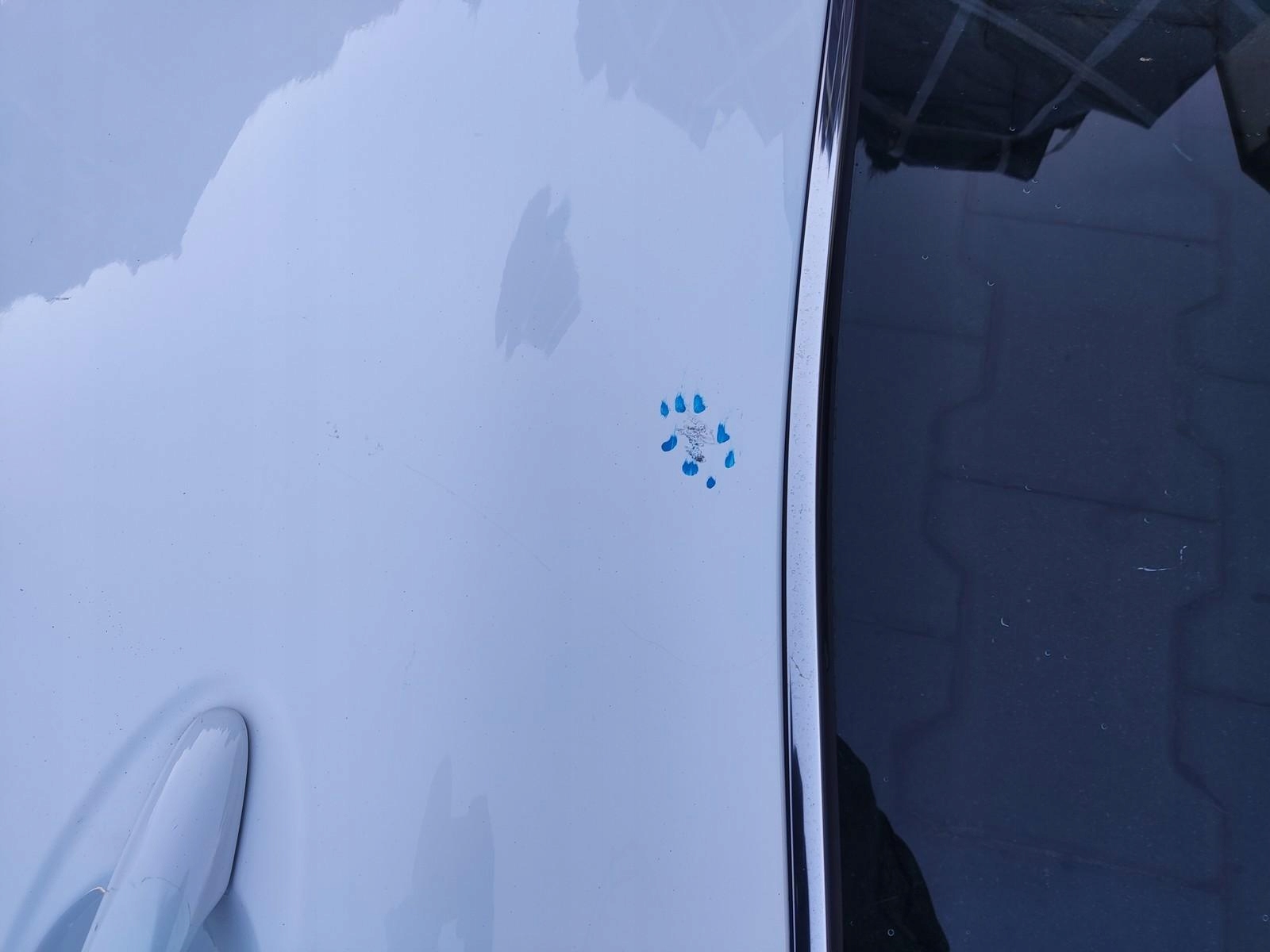 Tür links heck hinten RENAULT KADJAR LIFT 2018-2022