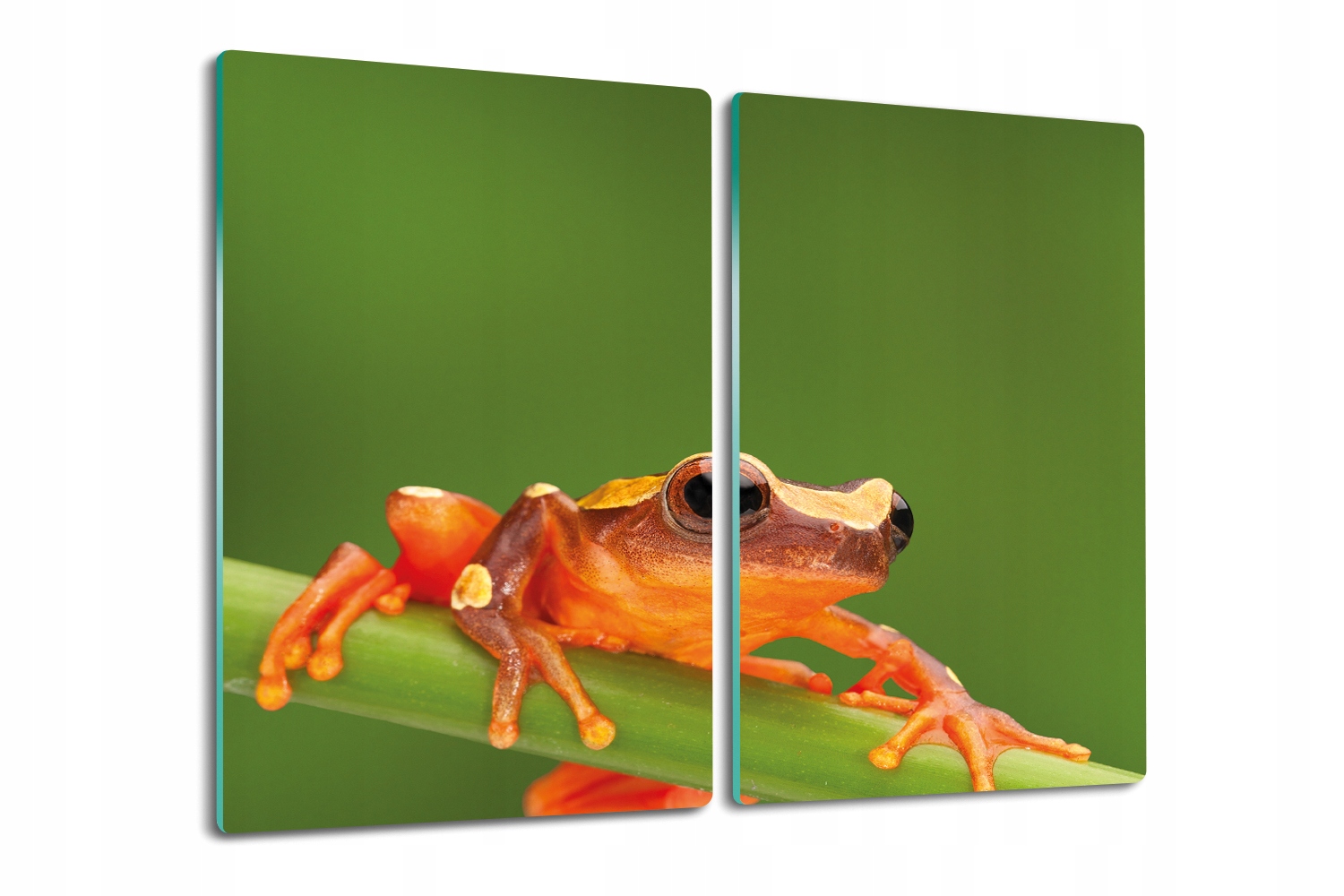 Kuchyňská skleněná deska 2x30x52 Žába červená list
